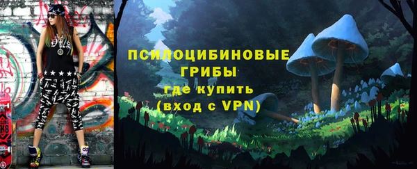 мяу мяу мука Алзамай