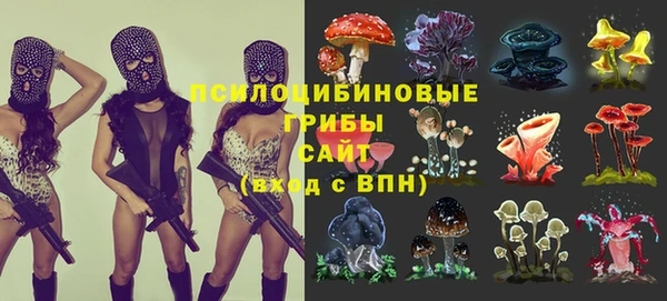 мяу мяу мука Алзамай