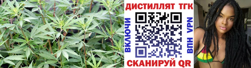 ТГК концентрат  Полысаево 