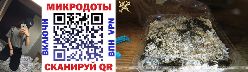 Псилоцибиновые грибы GOLDEN TEACHER  хочу наркоту  Полысаево 